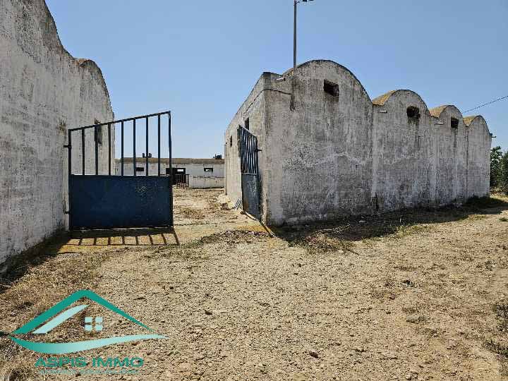 Vente Surfaces - Tunisie