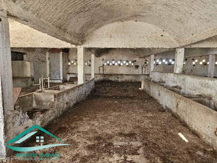 Kelibia Kelibia Vente Surfaces Vt903 terrain agricole 14280 m2  kelibia