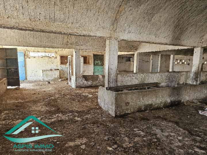 Kelibia Kelibia Vente Surfaces Vt903 terrain agricole 14280 m2  kelibia