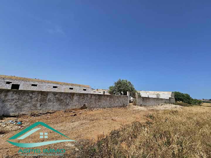 Kelibia Kelibia Vente Surfaces Vt903 terrain agricole 14280 m2  kelibia