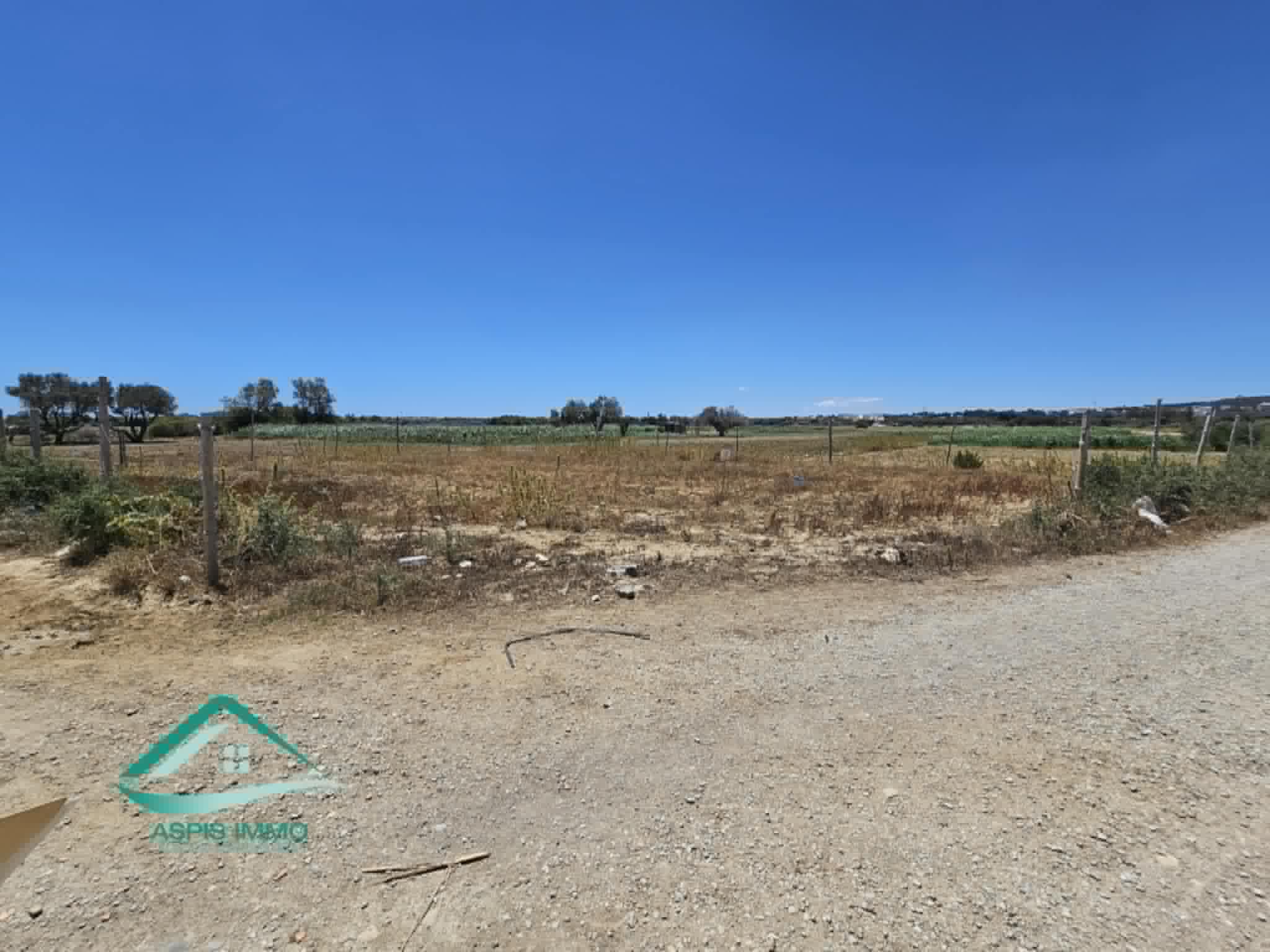 Kelibia Kelibia Vente Surfaces Vt915 terrain 600 m2  ezzahra kelibia