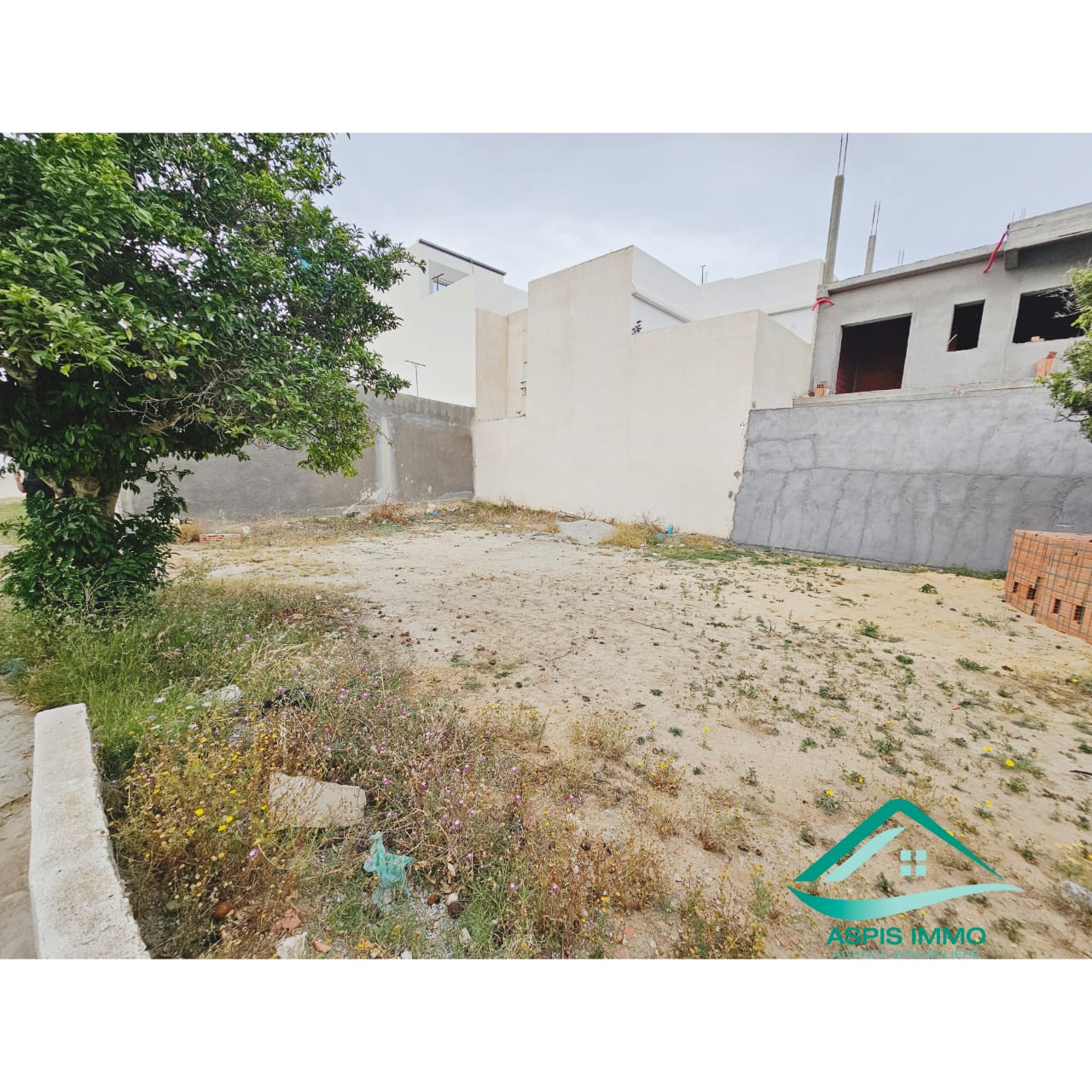 Kelibia Kelibia Vente Surfaces Vt921 terrain 260 m2  cit merdes kelibia