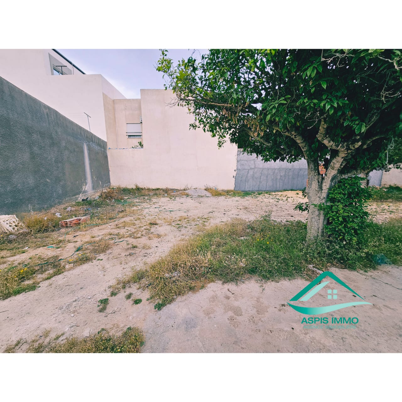 Kelibia Kelibia Vente Surfaces Vt921 terrain 260 m2  cit merdes kelibia