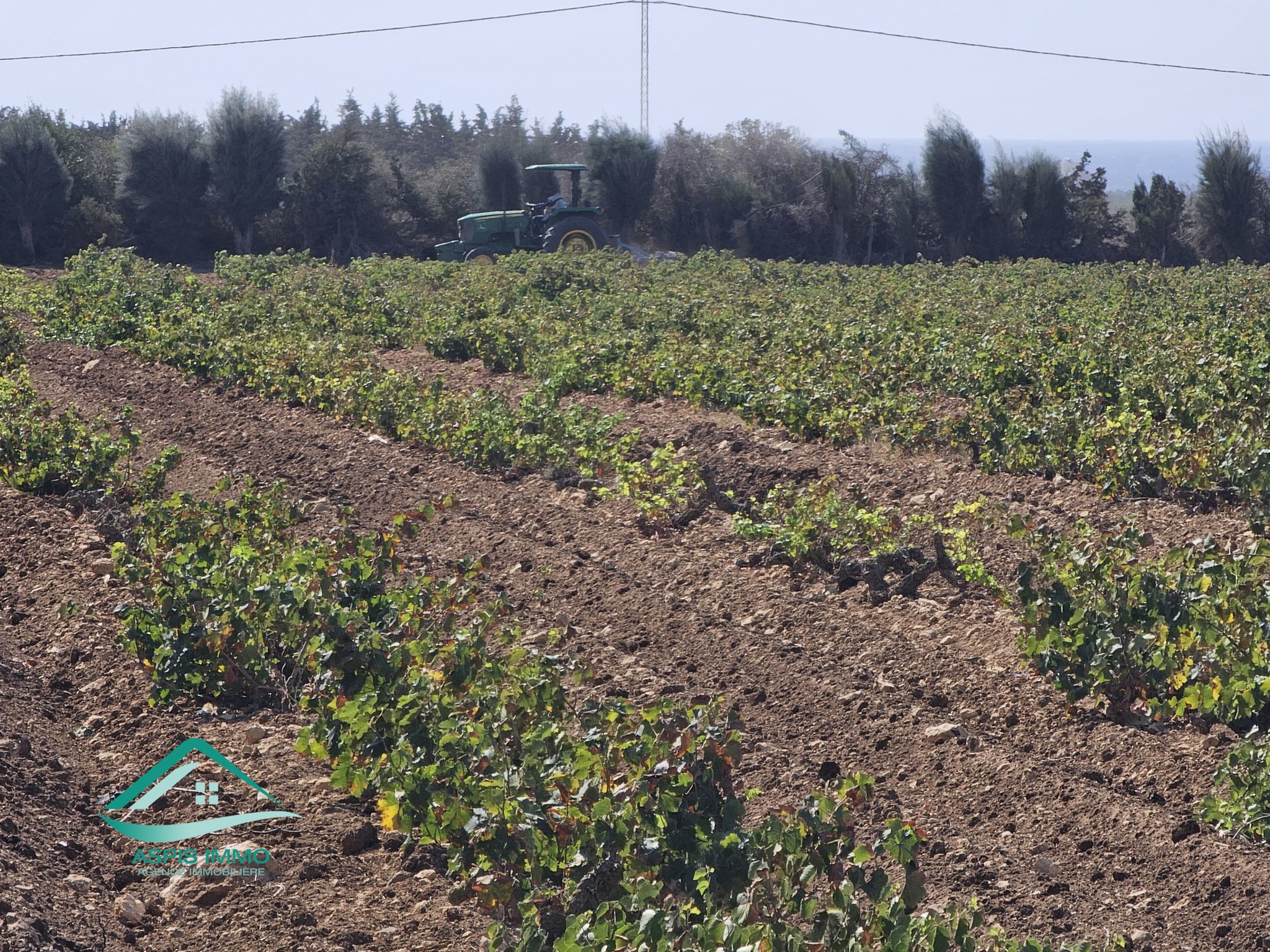 Kelibia Kelibia Vente Surfaces Vt924 terrain agricole 28170 m2  kelibia