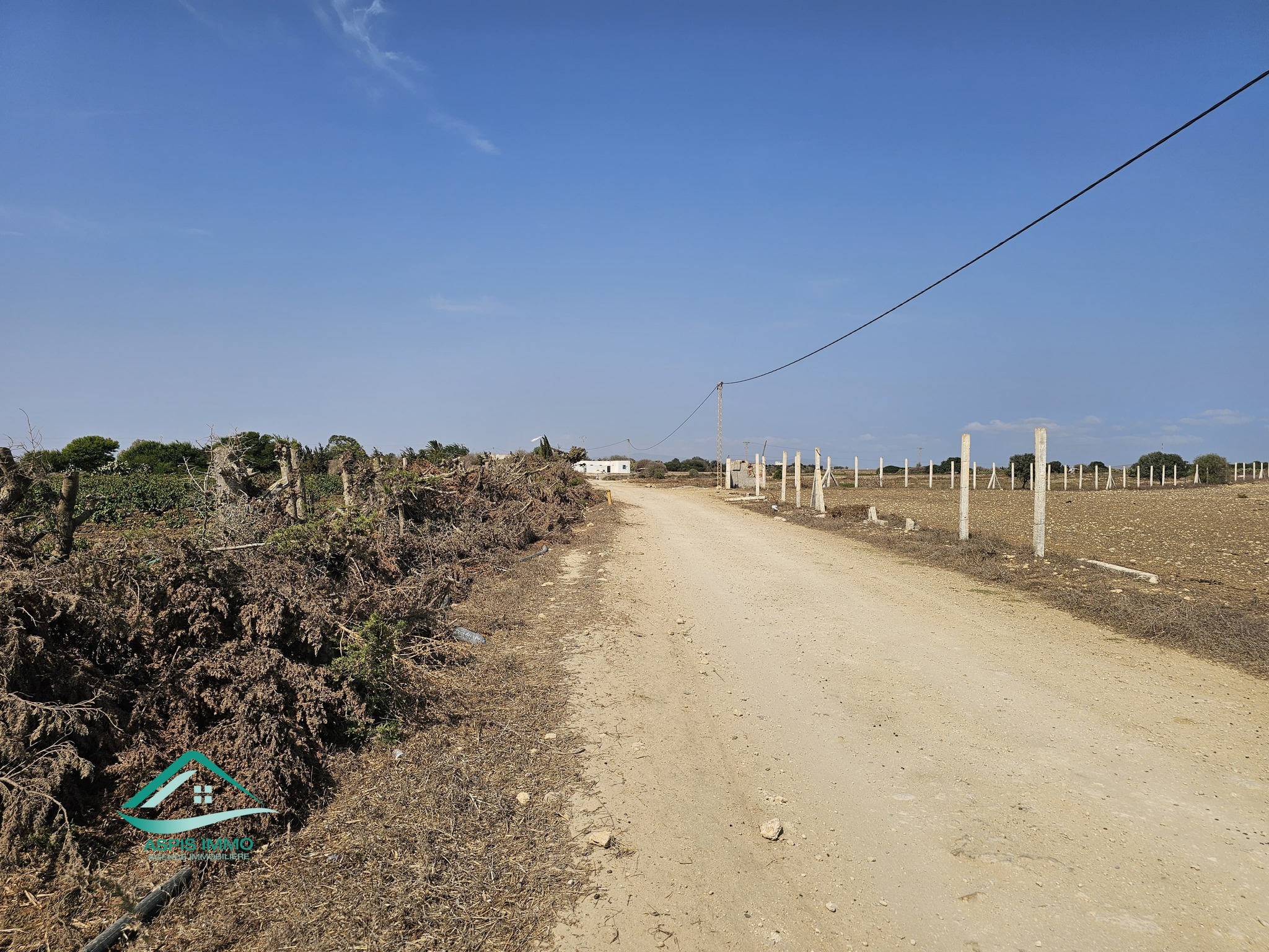 Kelibia Kelibia Vente Surfaces Vt924 terrain agricole 28170 m2  kelibia