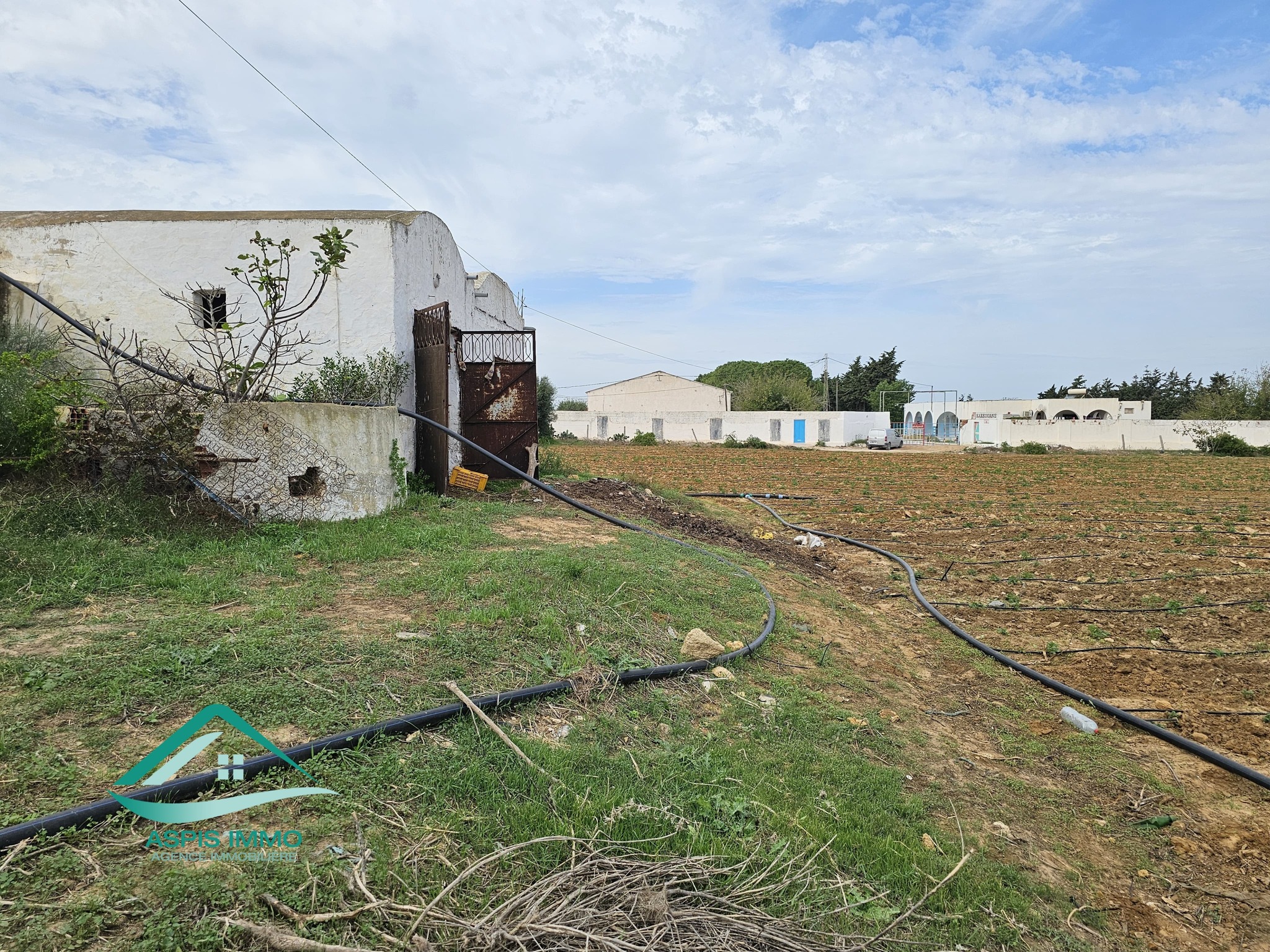 Kelibia Dar Allouche Vente Surfaces Vt942 terrain agricole 32180 m2  dar allouch