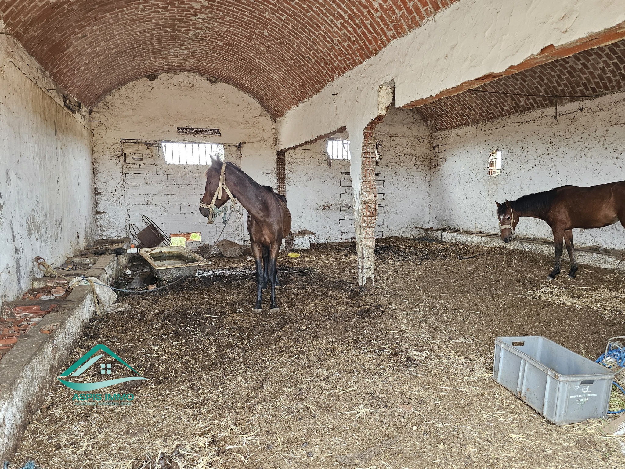 Kelibia Dar Allouche Vente Surfaces Vt942 terrain agricole 32180 m2  dar allouch