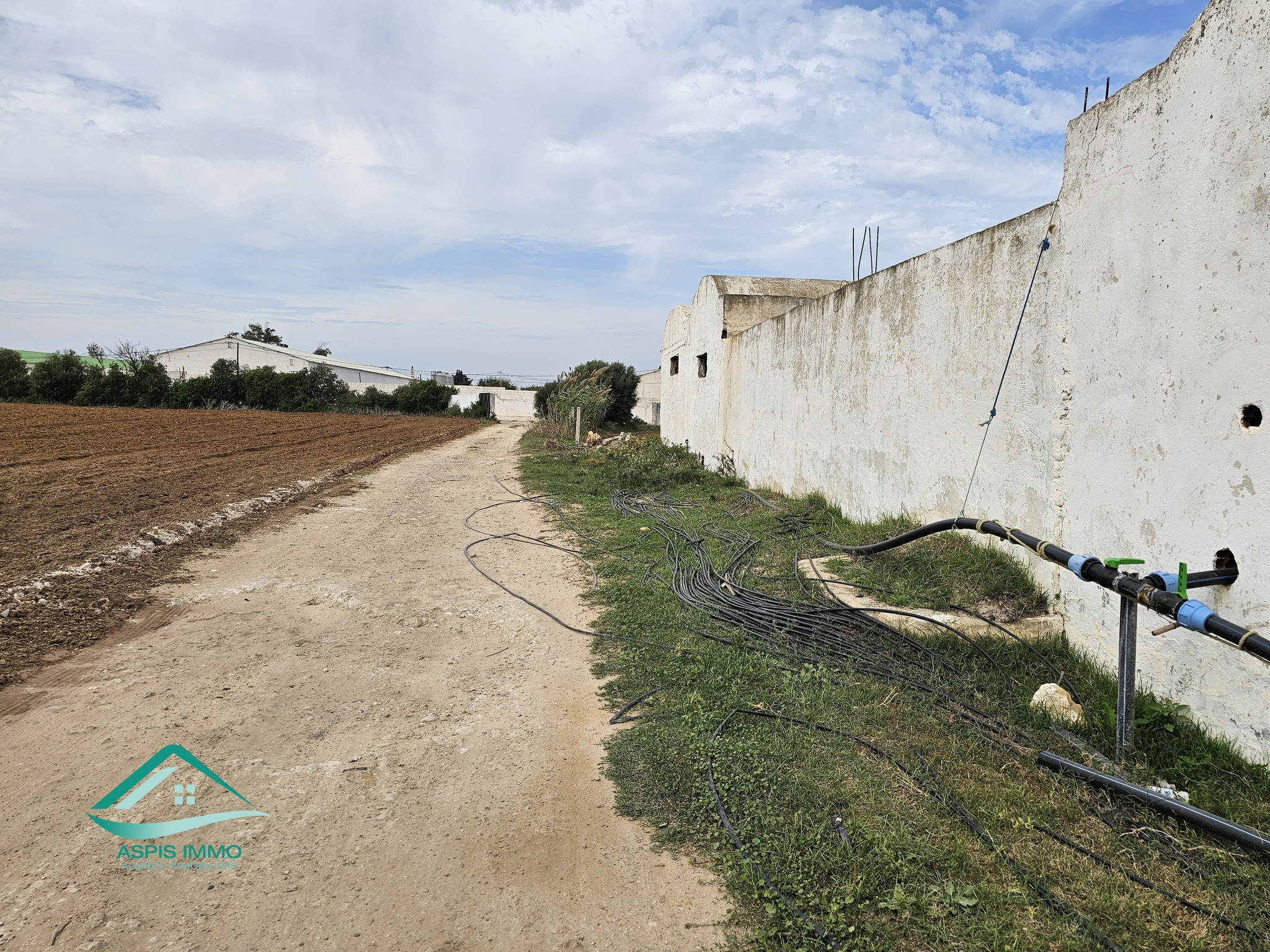 Vente Surfaces - Tunisie