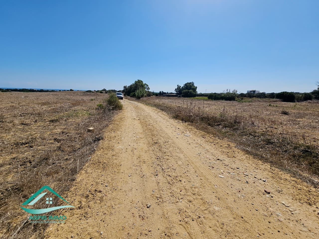 Vente Surfaces - Tunisie