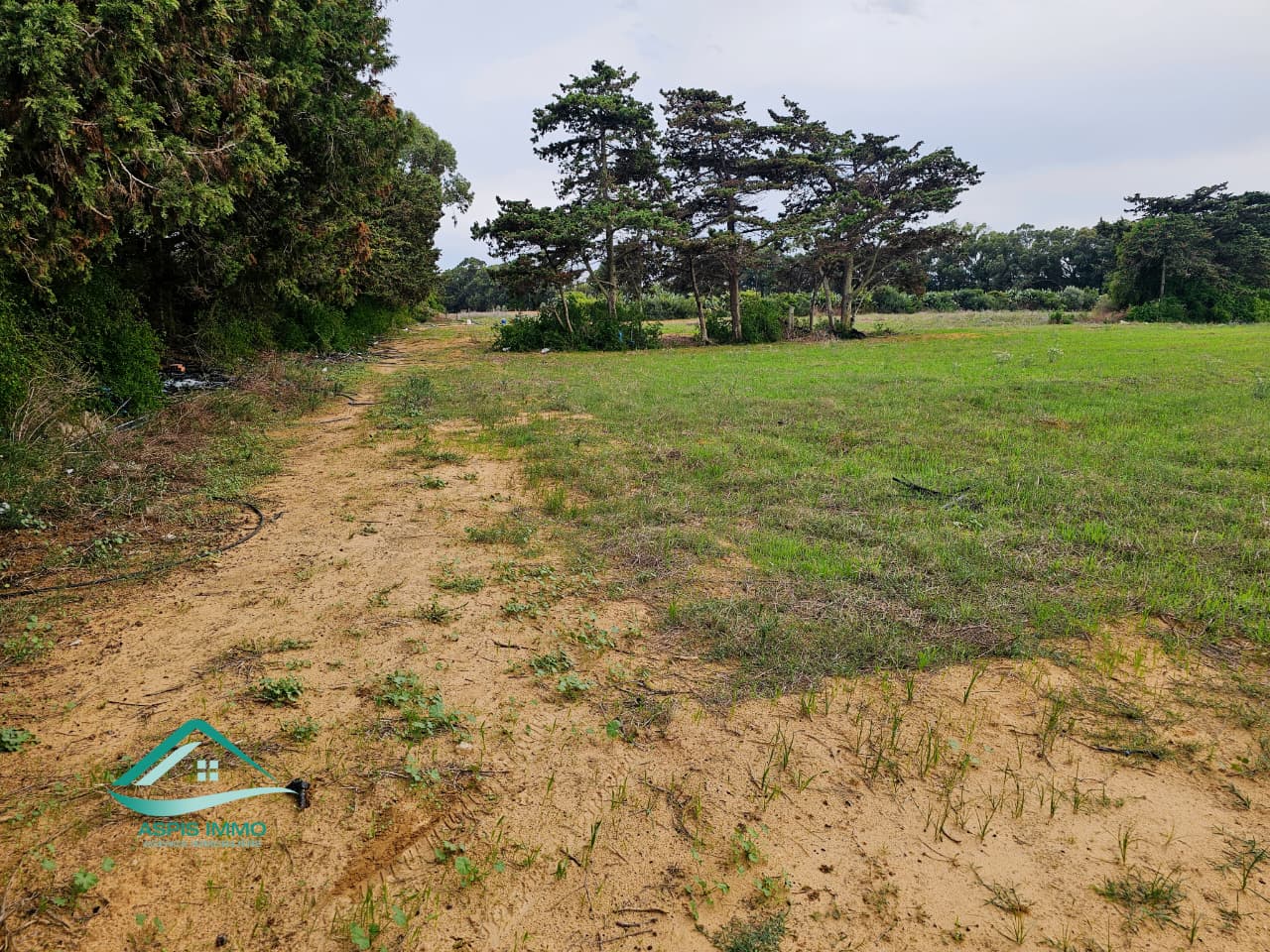 Kelibia Kerkouane Vente Surfaces Vt1006 terrain 14000 m2 sur la route  kerkouene