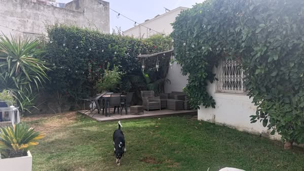 Le Bardo Le Bardo Vente Maisons Belle villa  saisir