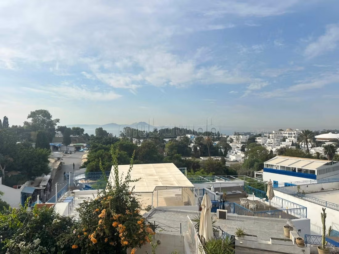 Carthage Sidi Bousaid Vente Maisons Duplex titr avec jardin  rnover  sidi bou sad