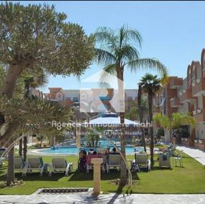 Akouda&nbsp;Chatt Meriem&nbsp;Vente&nbsp;Appart. 1 pi�ce&nbsp;   studio s0    chatt ref869a