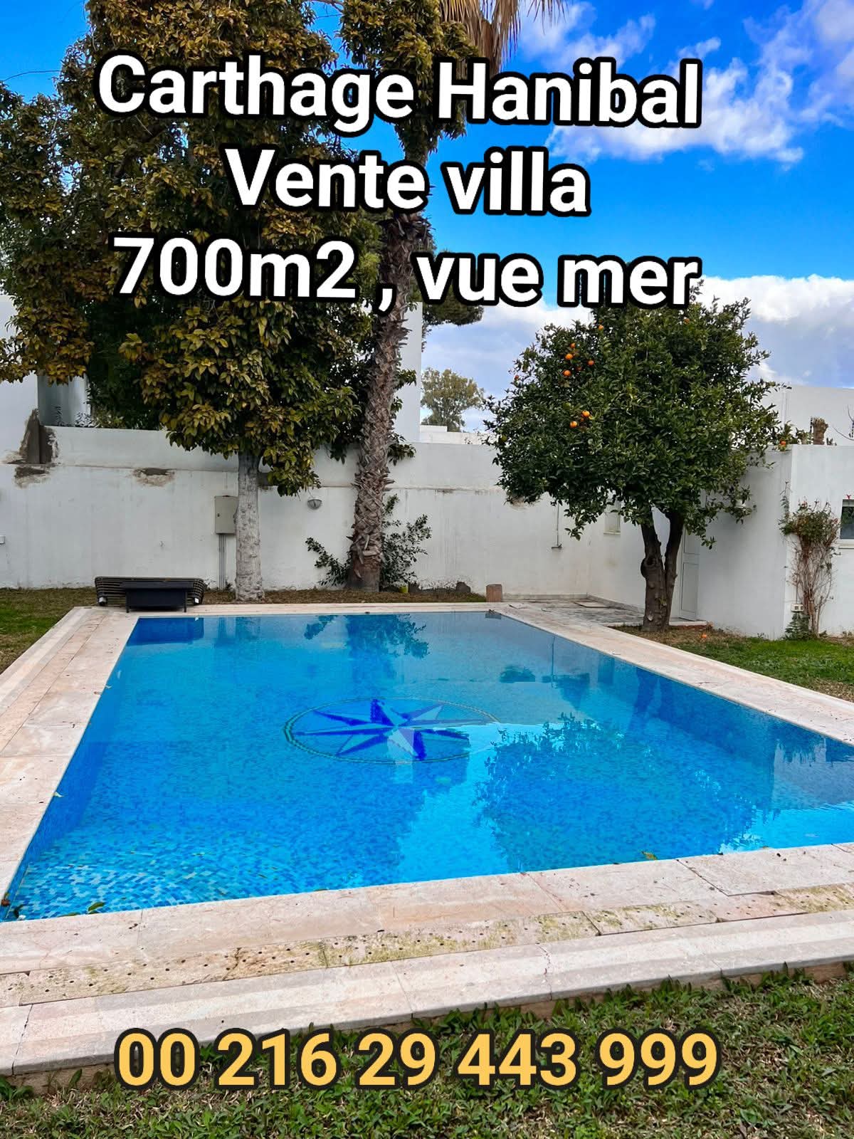 Carthage Amilcar Vente Maisons Villa  carthage hanibal