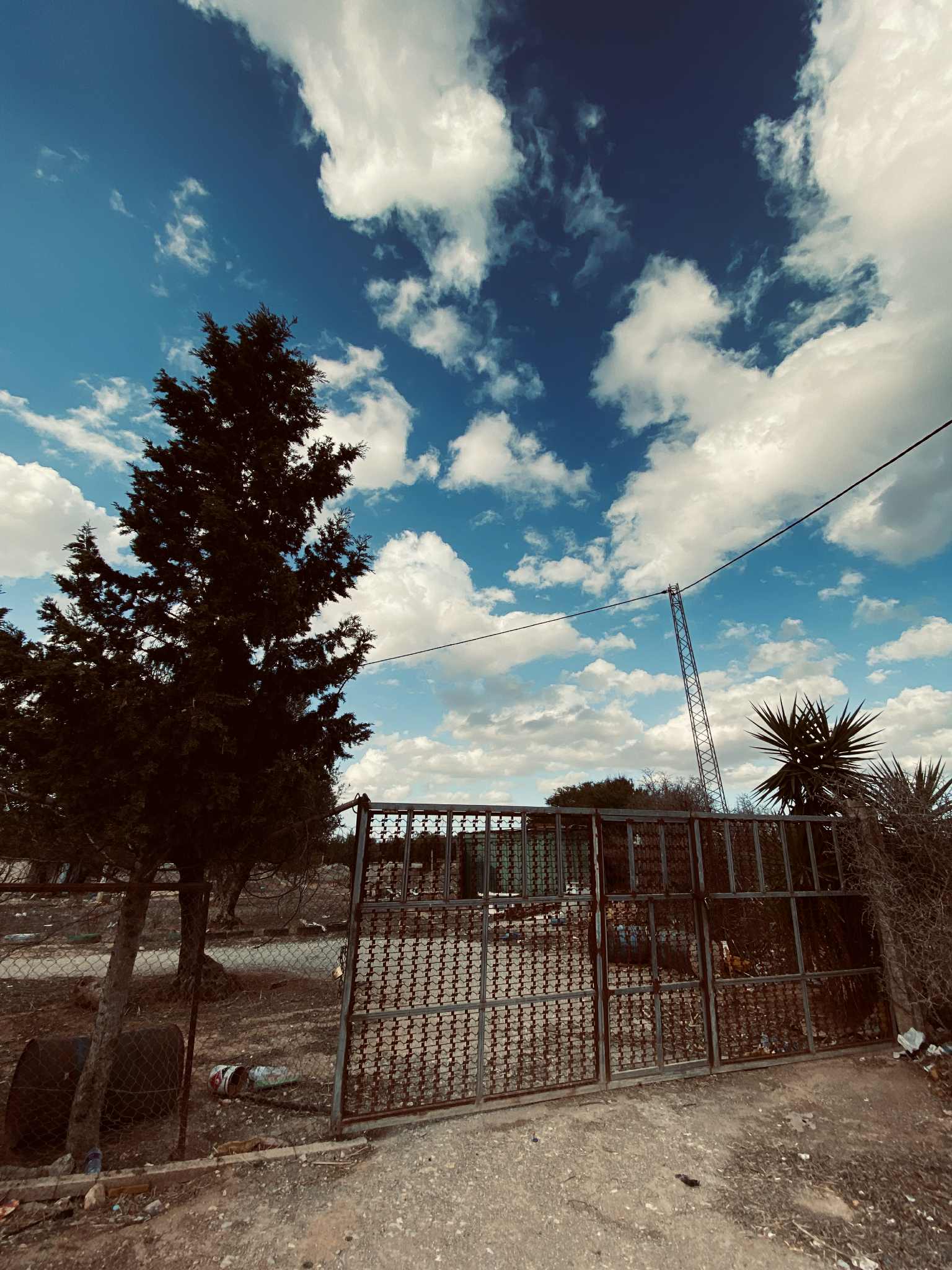 Oued Ellil Oued Ellil Vente Surfaces Terrain agricole  bjeoua oued ellil manouba