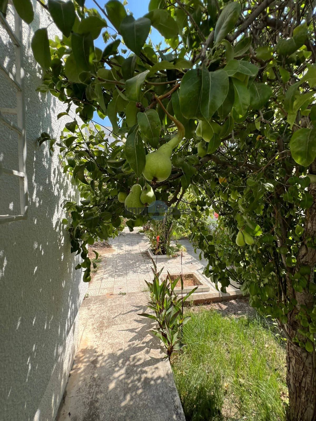 Bizerte Nord Bizerte Vente Maisons Magnifique villa sidi salem bizerte