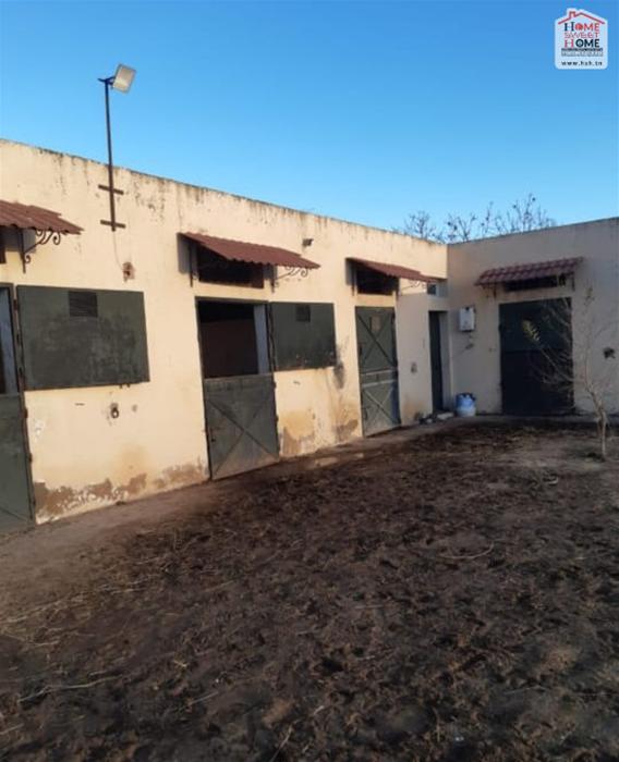 Soliman Soliman Vente Surfaces Terrain agricole baya  solimen