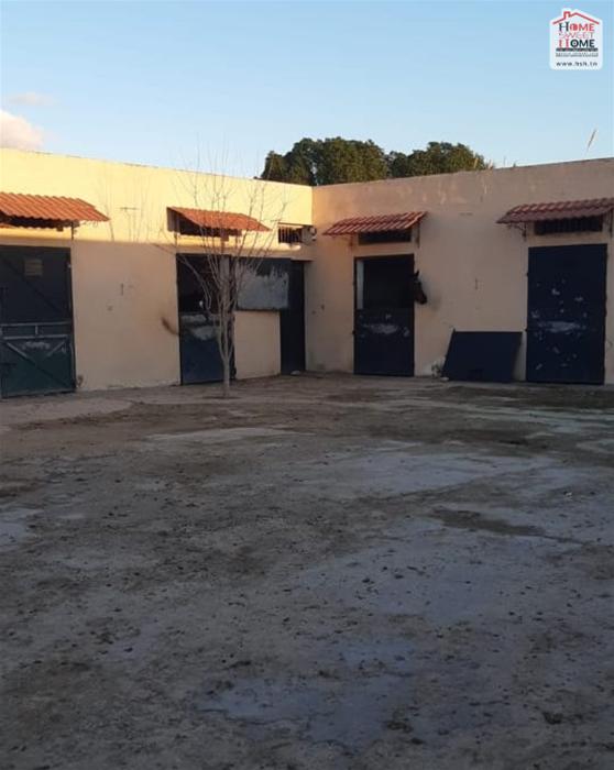 Soliman Soliman Vente Surfaces Terrain agricole baya  solimen