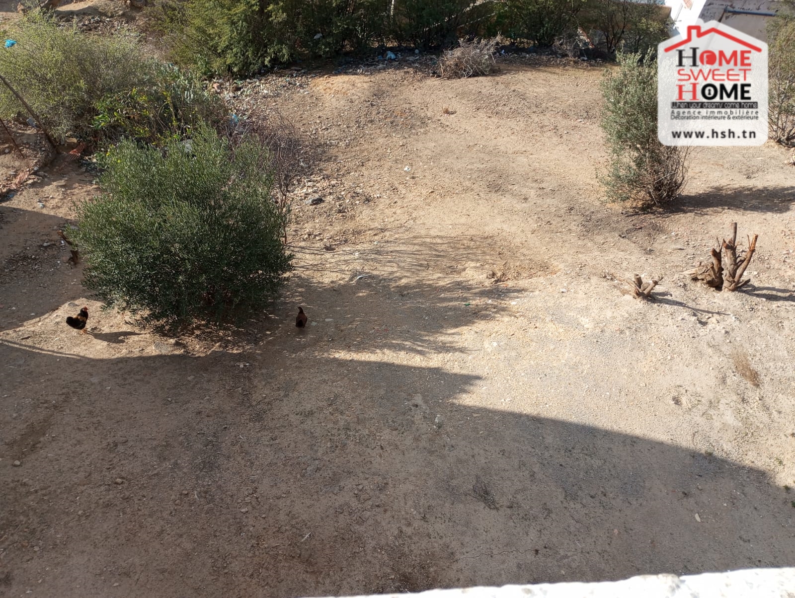 Mejez El Bab Mejez El Bab Vente Appart. 5 pices+ Immeuble shoek  mjez el bab