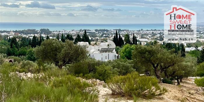 Hammamet Hammamet Terrain Terrain nu Terrain villa vasta  hammamet nord