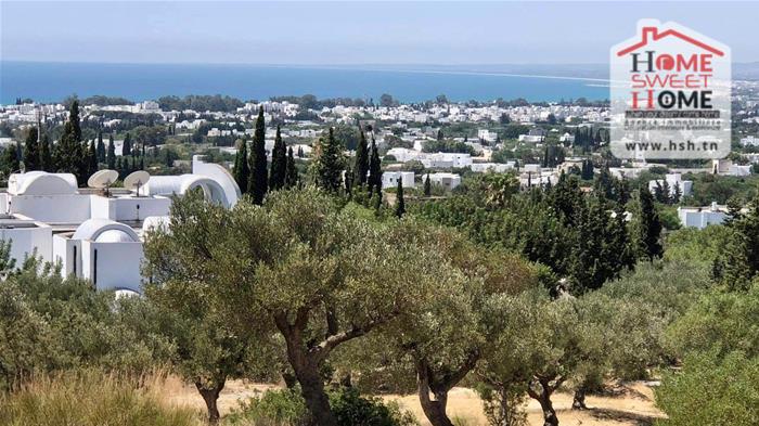 Hammamet Hammamet Terrain Terrain nu Terrain villa vasta  hammamet nord