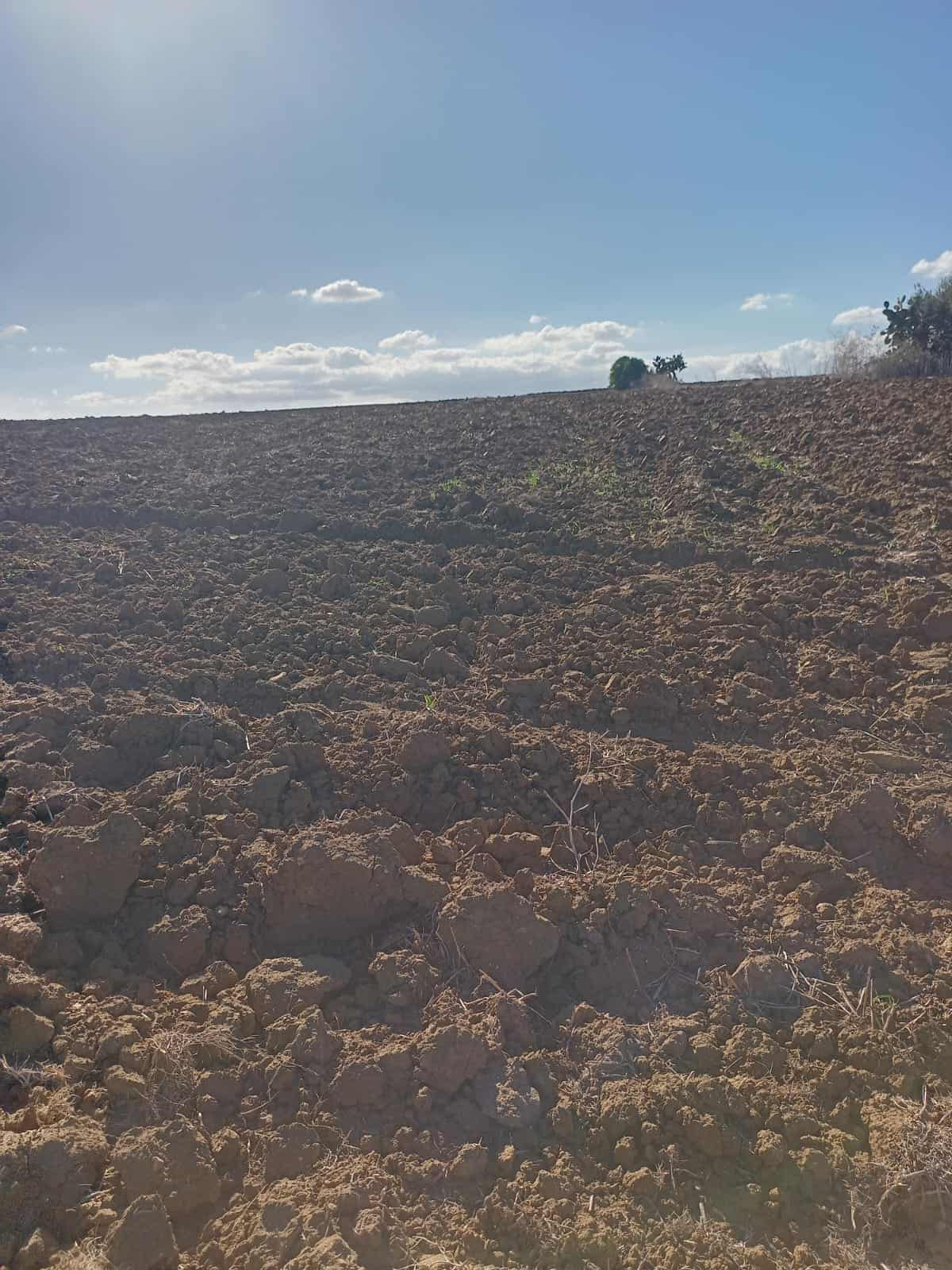 Vente Maisons - Tunisie