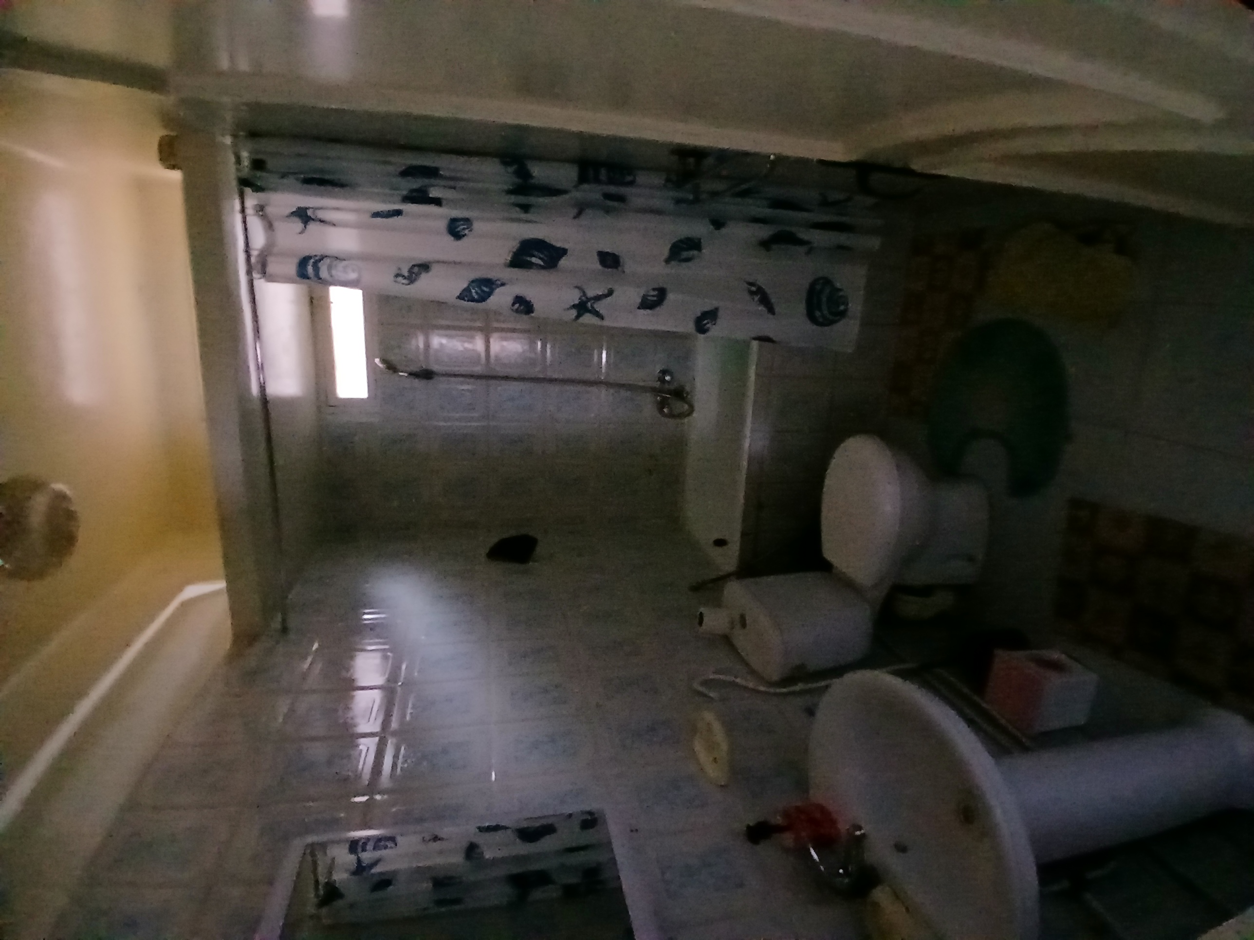 Cite El Khadra Cite El Khadra Vente Appart. 2 pices Petite maison