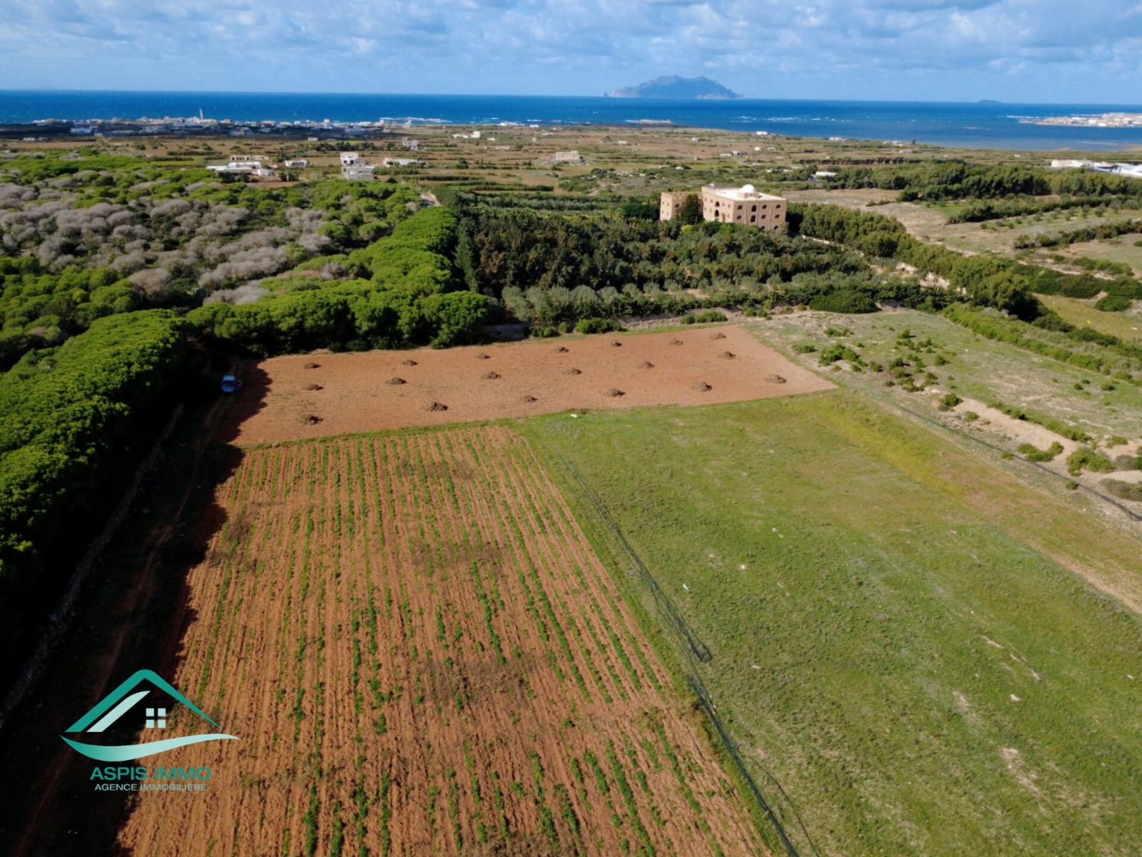 El Haouaria&nbsp;Sidi Daoud&nbsp;Vente&nbsp;Surfaces&nbsp;Vt809 terrain agricole � sidi daoued hawaria