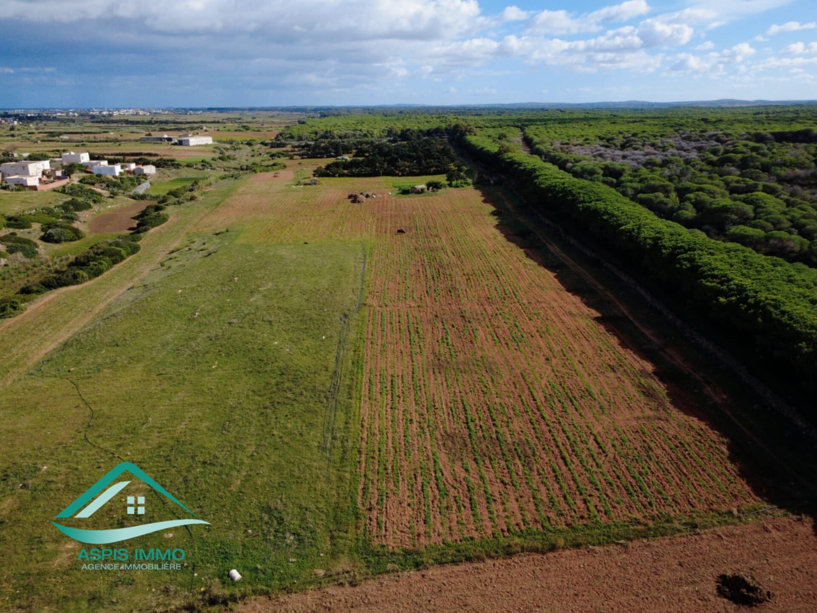 El Haouaria&nbsp;Sidi Daoud&nbsp;Vente&nbsp;Surfaces&nbsp;Vt809 terrain agricole � sidi daoued hawaria