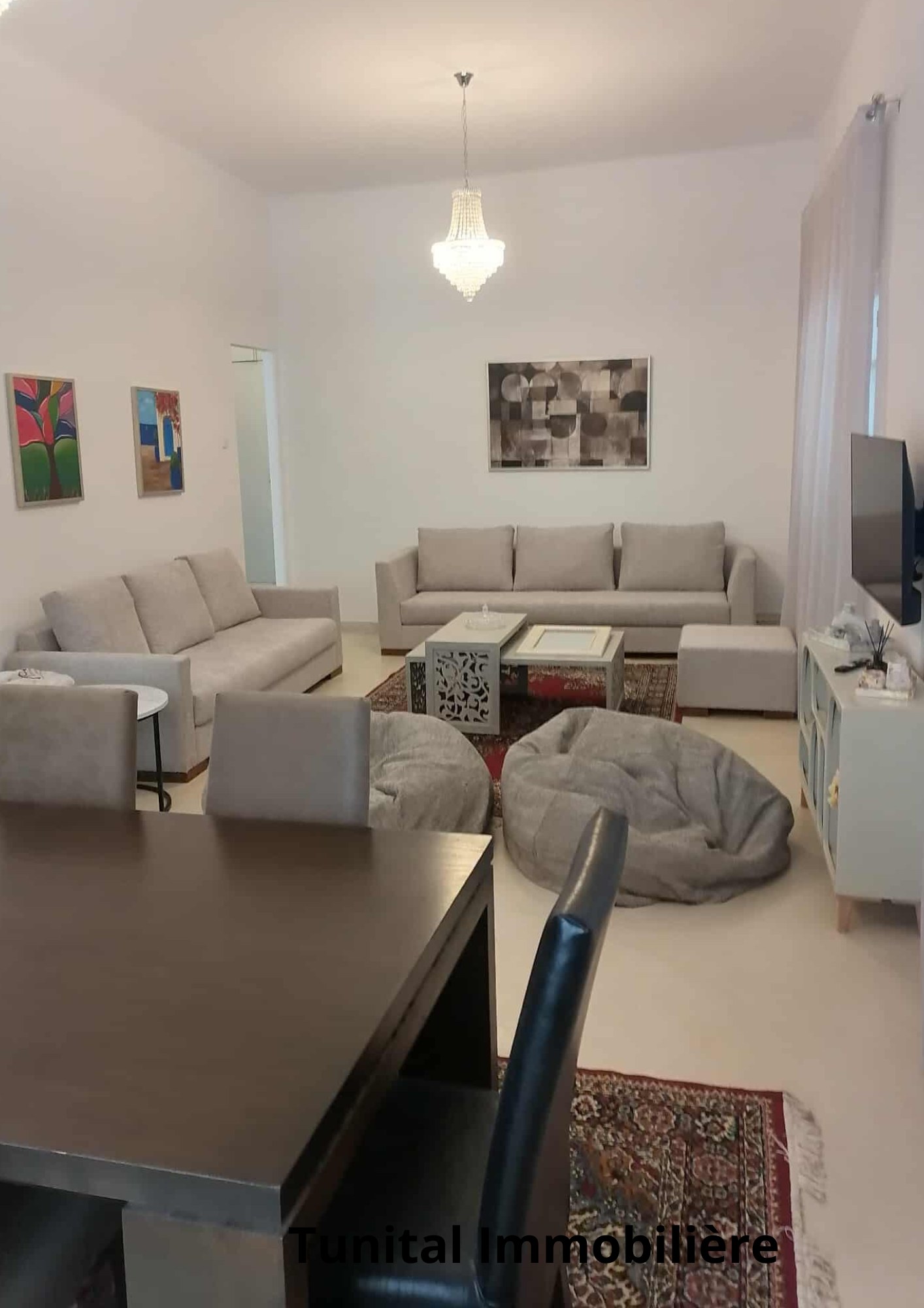 Carthage&nbsp;Cartage Byrsa&nbsp;Vente&nbsp;Maisons&nbsp;Villa  sur deux niveaux s�par�s