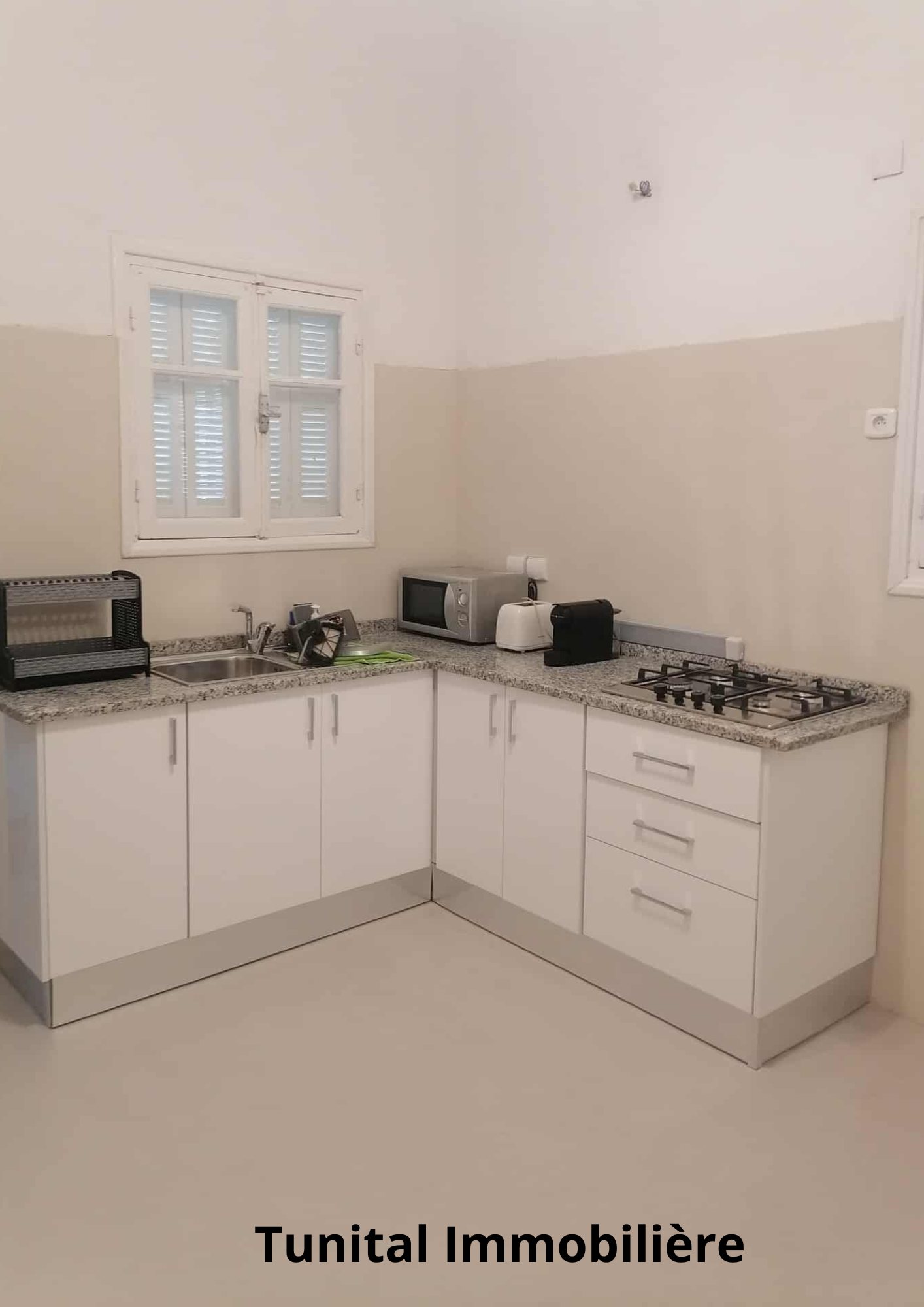 Carthage&nbsp;Cartage Byrsa&nbsp;Vente&nbsp;Maisons&nbsp;Villa  sur deux niveaux s�par�s