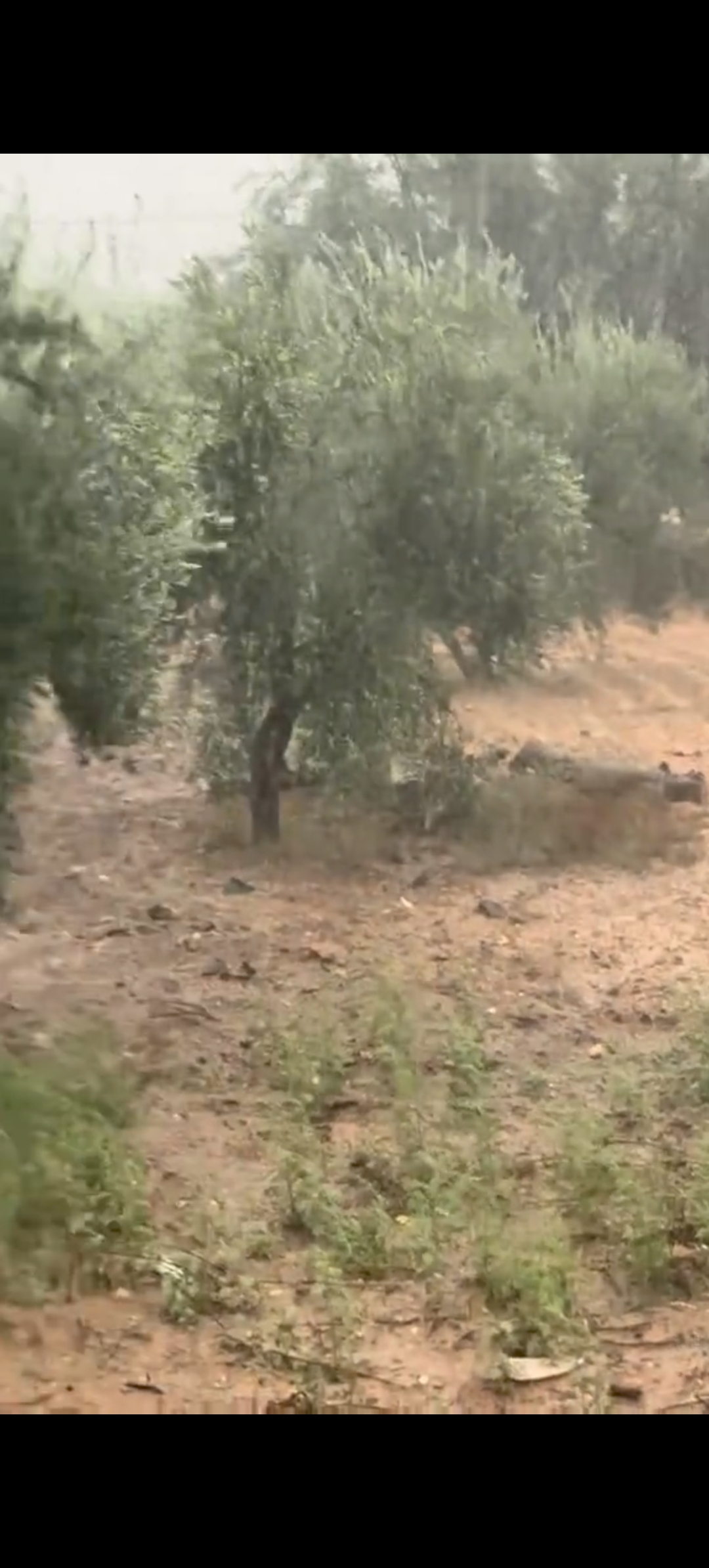 Vente Surfaces - Tunisie