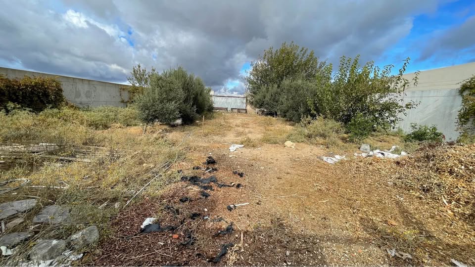 Vente Surfaces - Tunisie