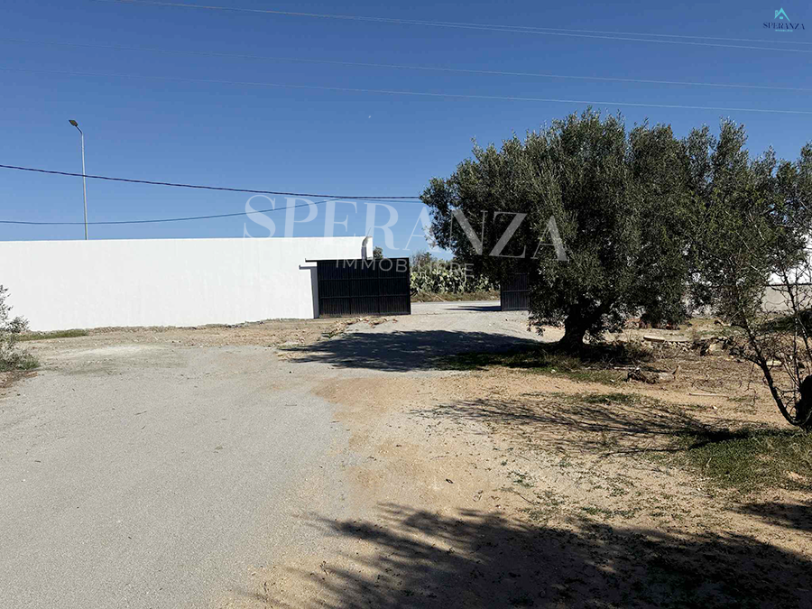 Vente&nbsp;Surfaces - Tunisie