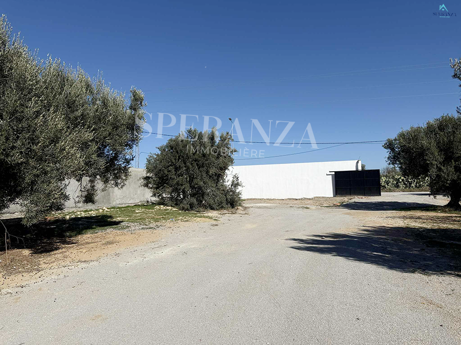 Hammamet&nbsp;Hammamet&nbsp;Vente&nbsp;Surfaces&nbsp;Terrain abie