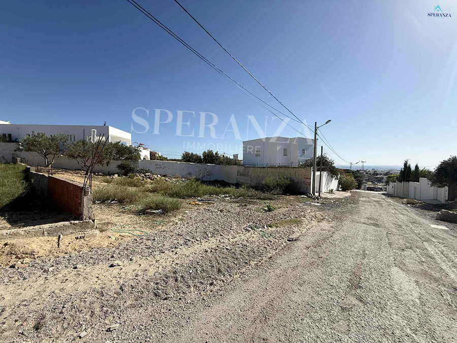Vente&nbsp;Surfaces - Tunisie