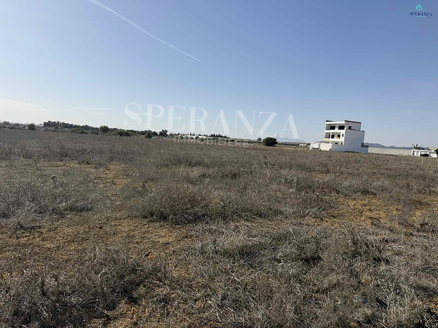 Vente Surfaces - Tunisie