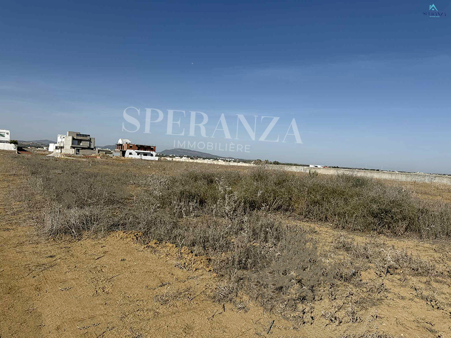 Vente Surfaces - Tunisie