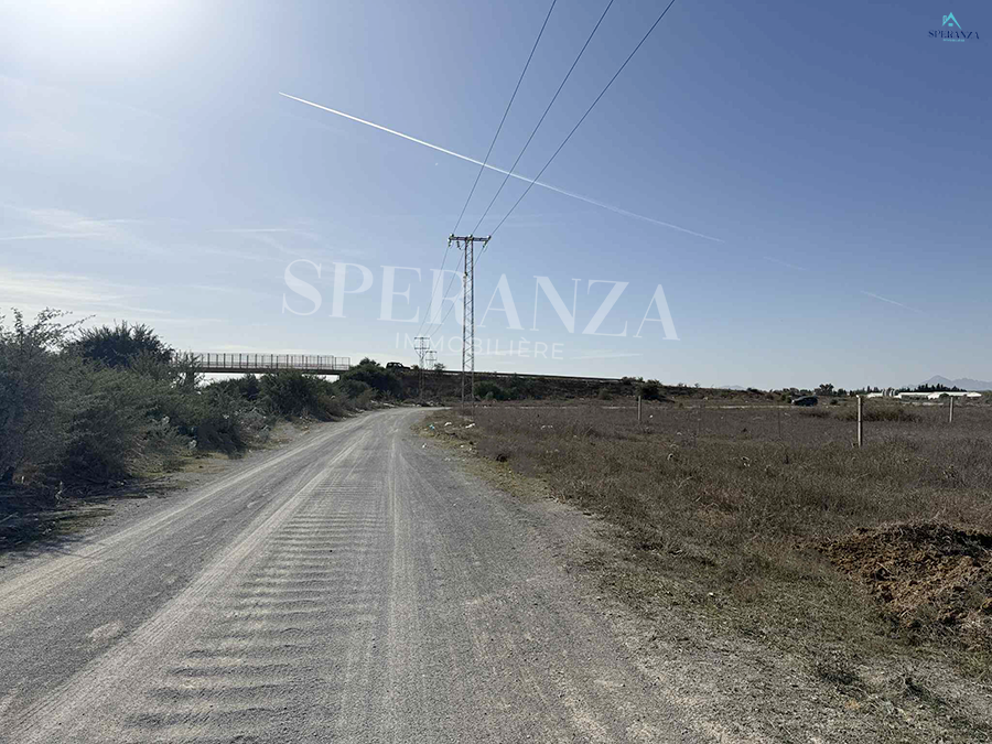 Hammamet Hammamet Vente Surfaces Terrain lune