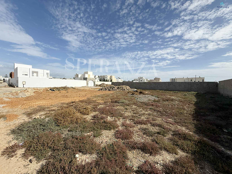Hammamet&nbsp;Hammamet&nbsp;Vente&nbsp;Surfaces&nbsp;Terrain silia