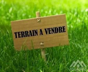 Vente Surfaces - Tunisie