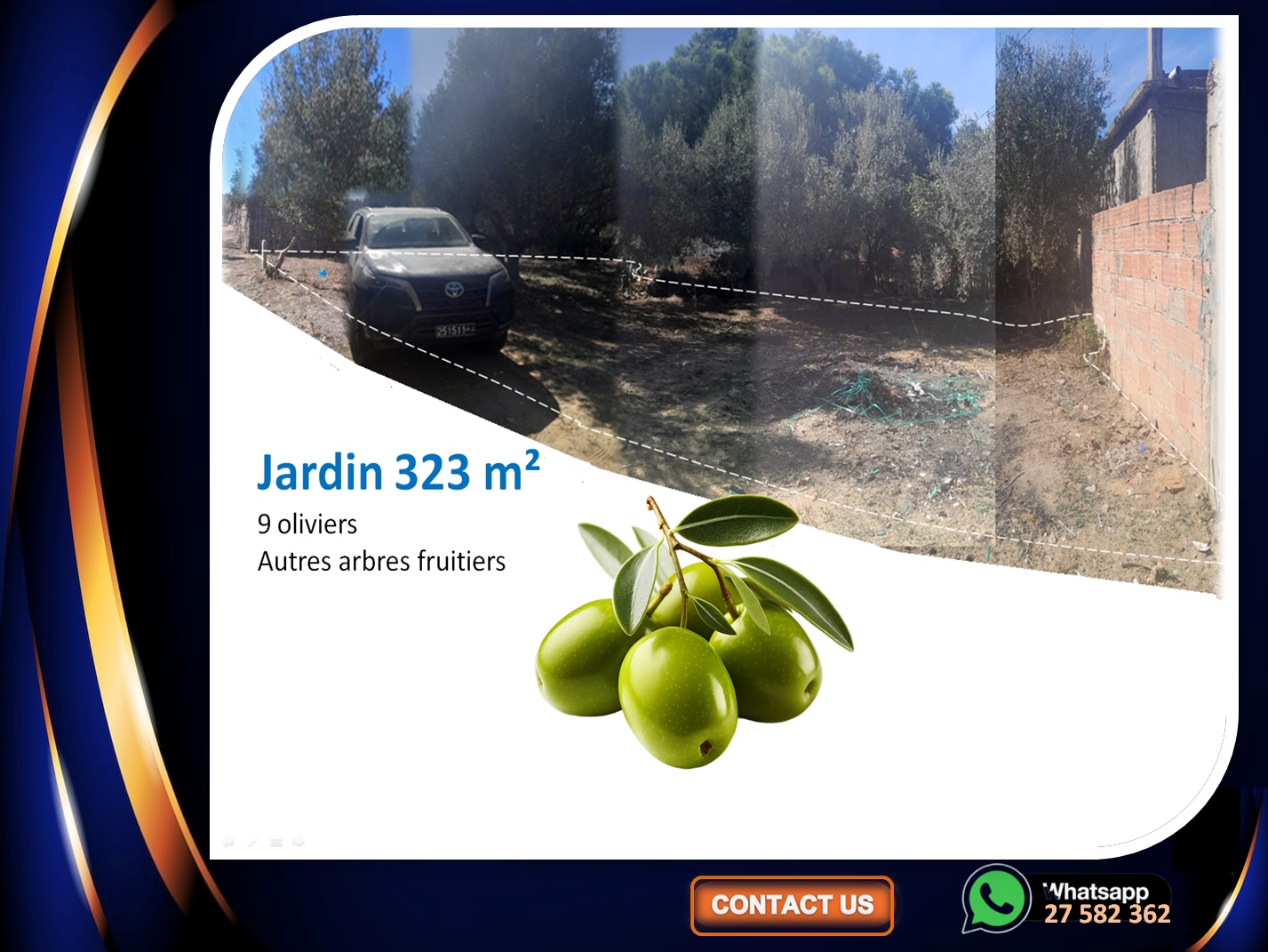 Bizerte Sud Louata Vente Maisons Maison avec grand jardin 9 oliviers