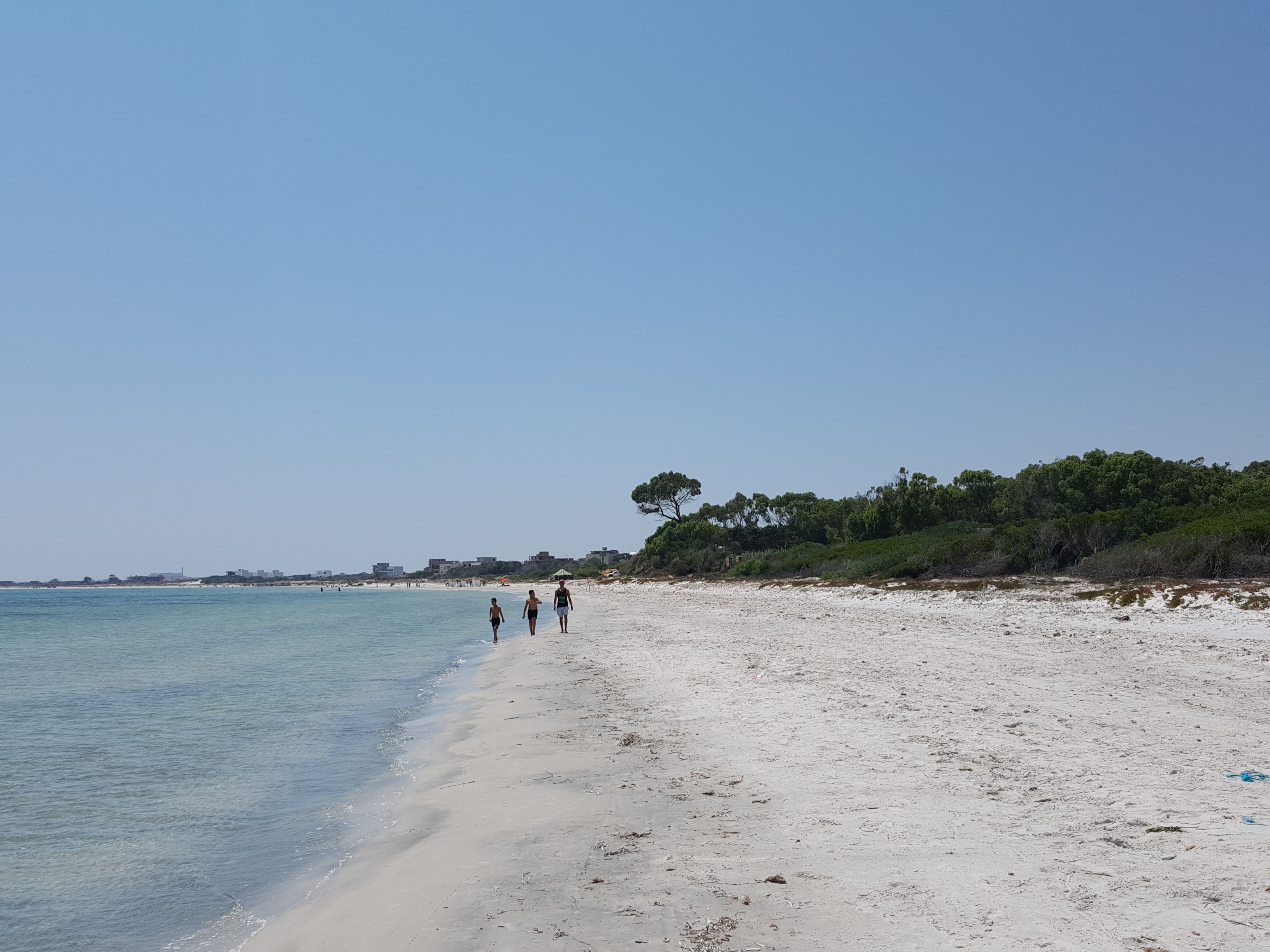 Hammam El Ghezaz Ezzahra Terrain Terrain nu Occasion de terrain pour investir 1ha