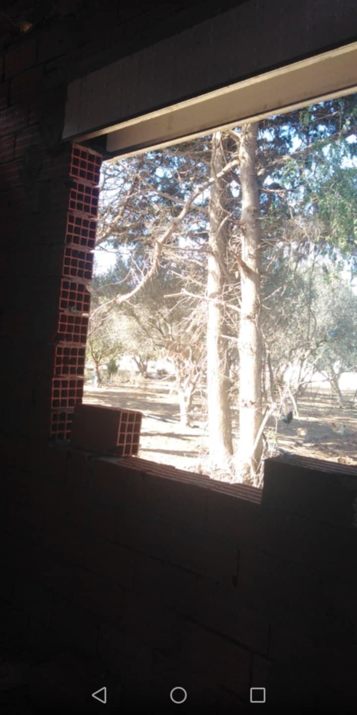 Kelibia Dar Allouche Vente Maisons Maison inachev