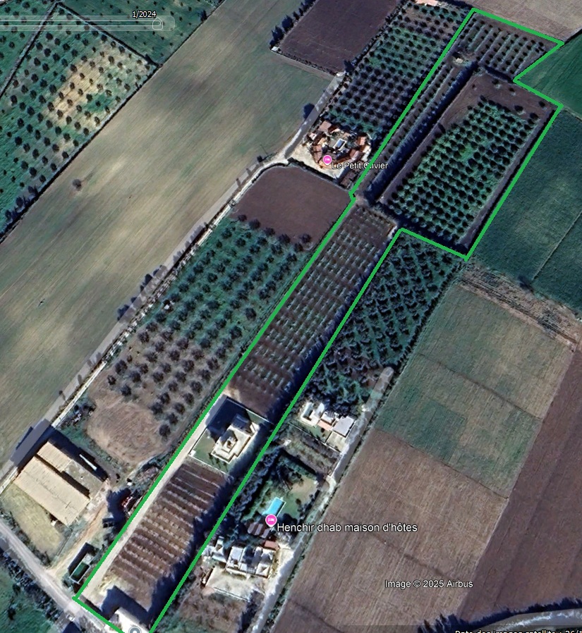 El Alia El Alia Vente Maisons Maison de 360 m au coeur d'une ferme de 2 hectares