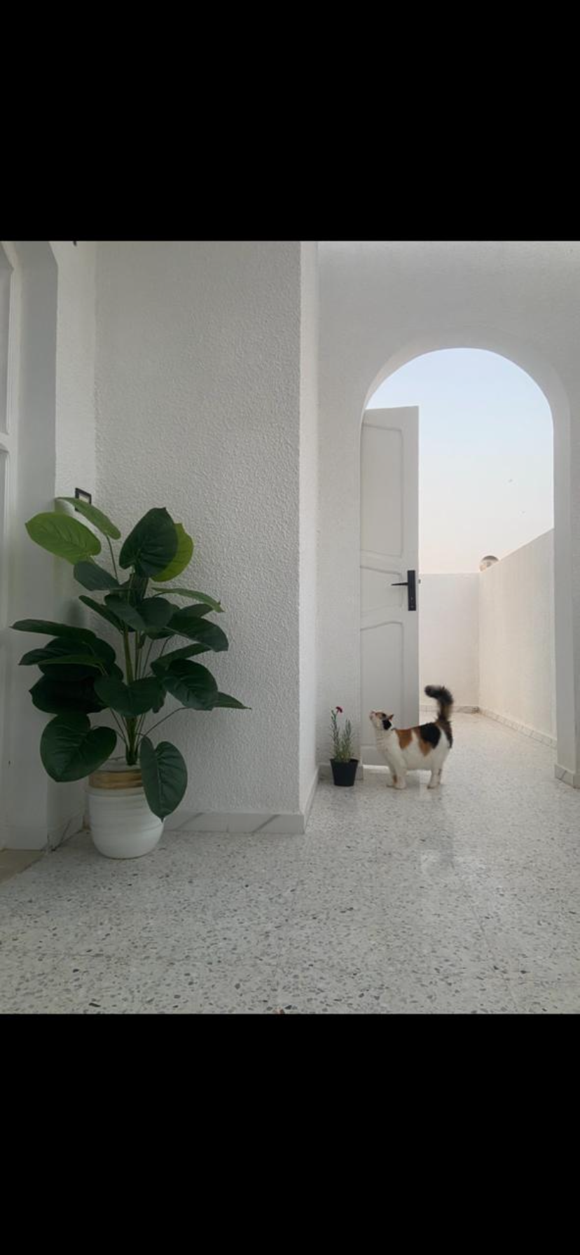 Vente Maisons - Tunisie