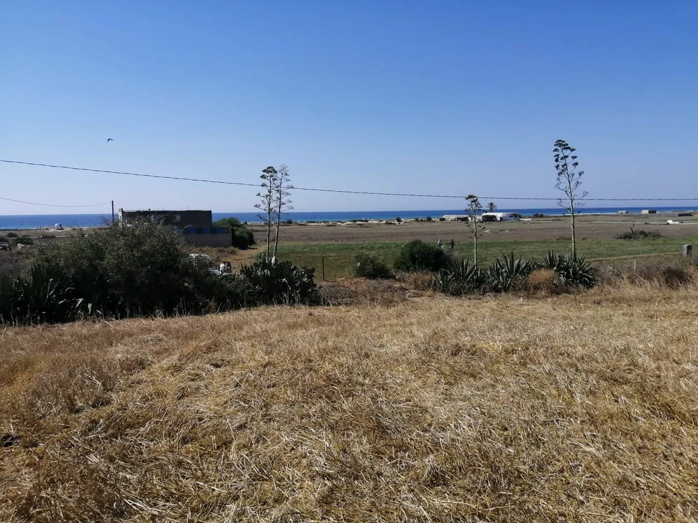 Menzel Temime Sidi Jameleddine Vente Surfaces Terrain ferme