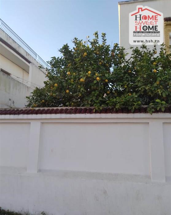 Le Bardo&nbsp;Bouchoucha&nbsp;Vente&nbsp;Autre&nbsp;Immeuble alova � bouchoucha