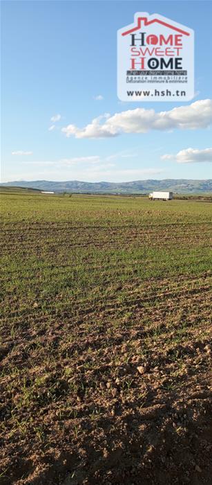 Mejez El Bab&nbsp;Mejez El Bab&nbsp;Terrain&nbsp;Terrain agricole&nbsp;Terrain agricole sylvara � mjez el beb