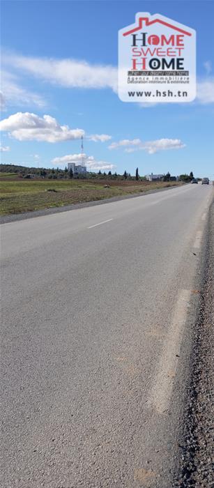 Mejez El Bab&nbsp;Mejez El Bab&nbsp;Terrain&nbsp;Terrain agricole&nbsp;Terrain agricole sylvara � mjez el beb